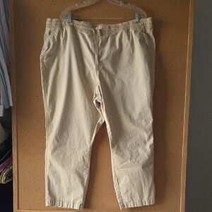 L.L. Bean Women's Favorite Fit Tan Casual Eleastic Waist  Trousers Size 22W